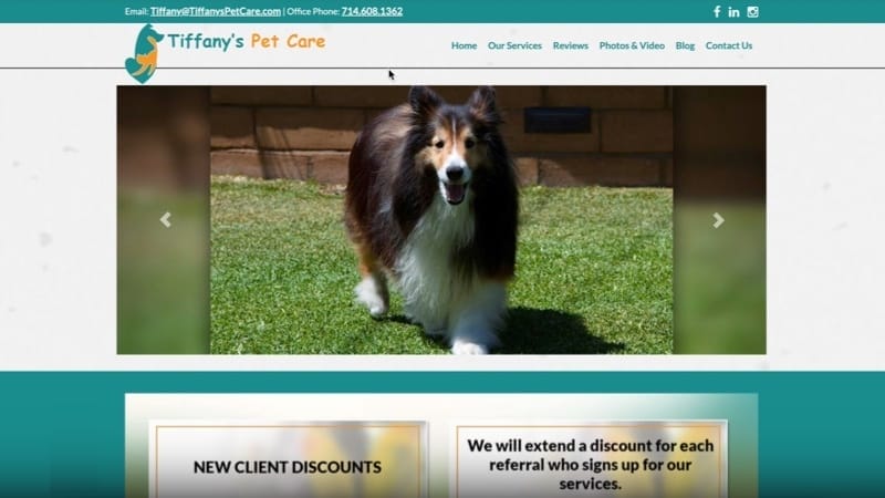 OLD TIFFANY'S PET CARE SITE BEFORE REDESIGN